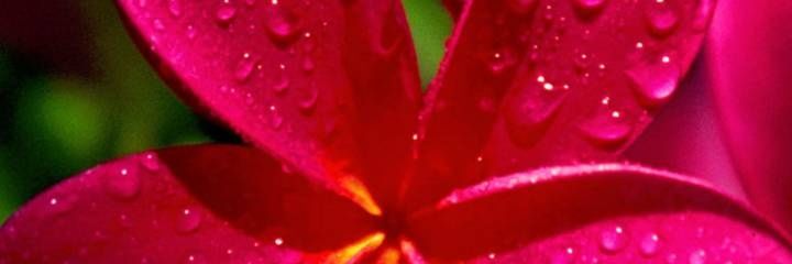 jhumasanchez's profile banner image