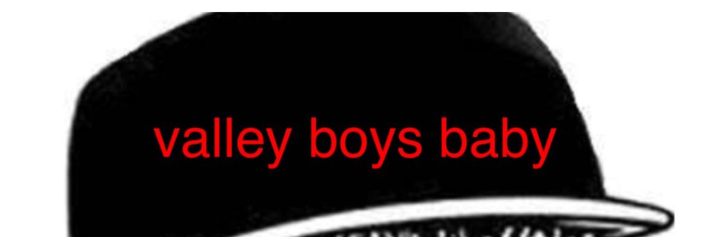dvp valley boys banner
