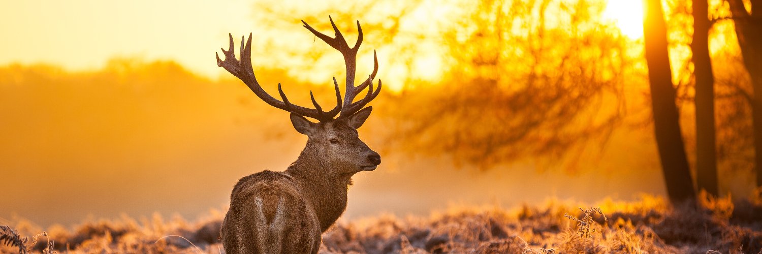 daodddd's profile banner image