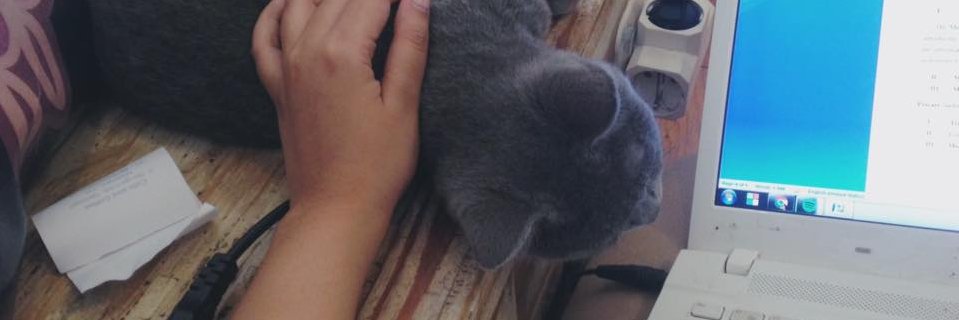 beebawesome's profile banner image