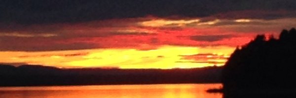 MalinSwMedtech Profile Banner