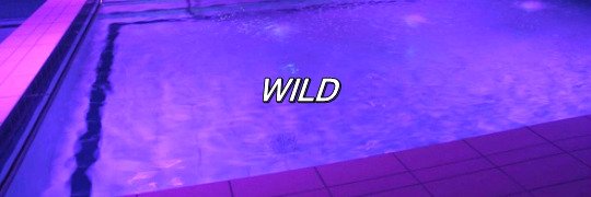 bbxevicted's profile banner image