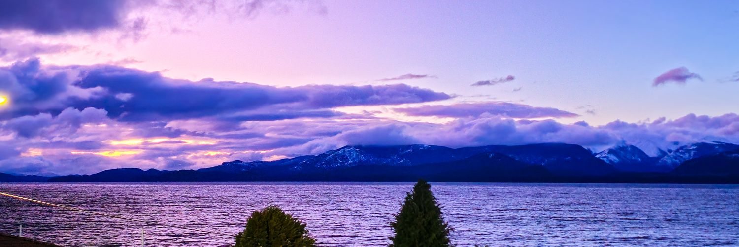 Nichols_Reimer's profile banner image