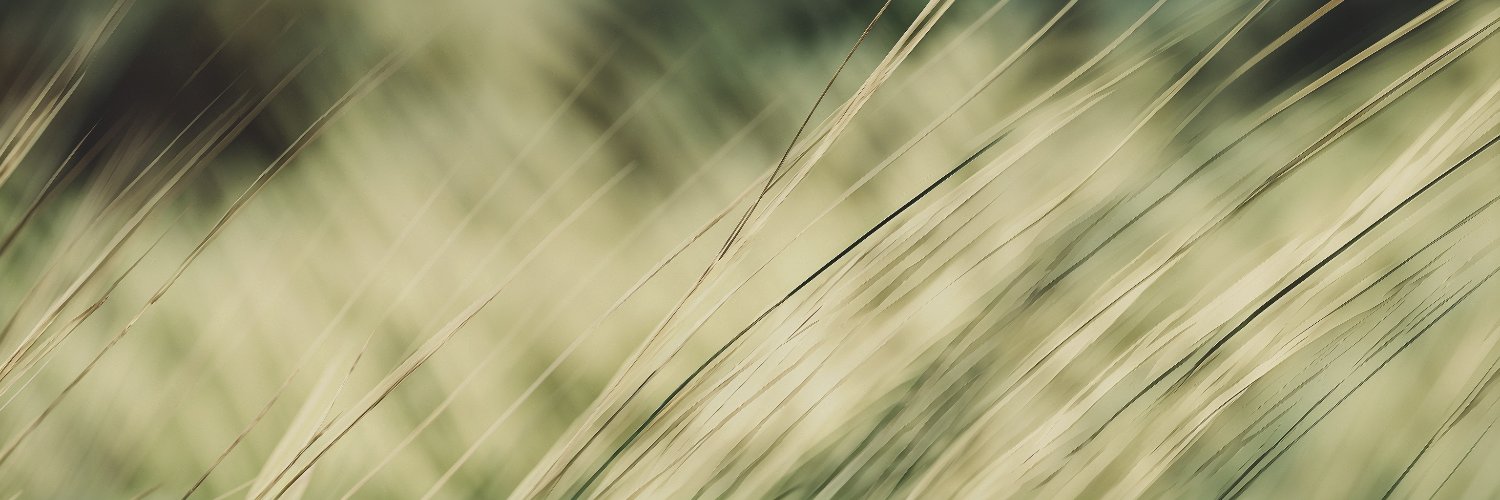 AcordeDigital's profile banner image