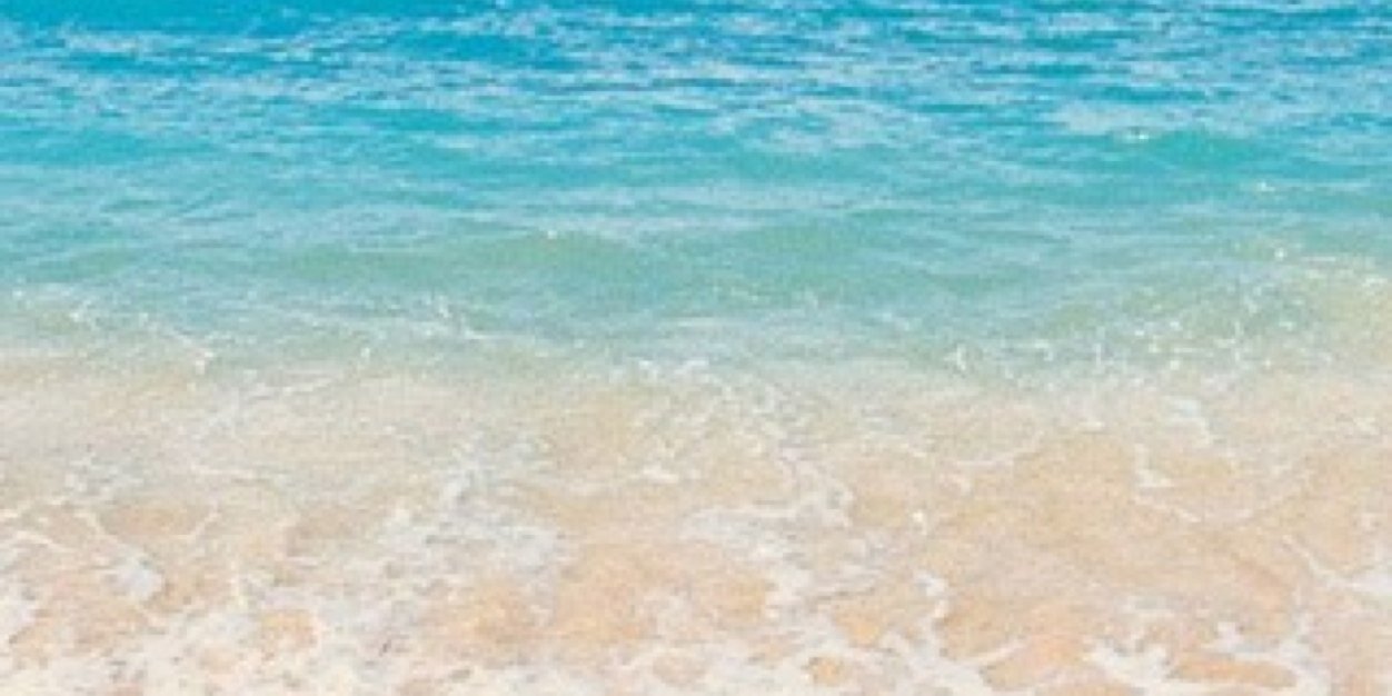 ditantos's profile banner image