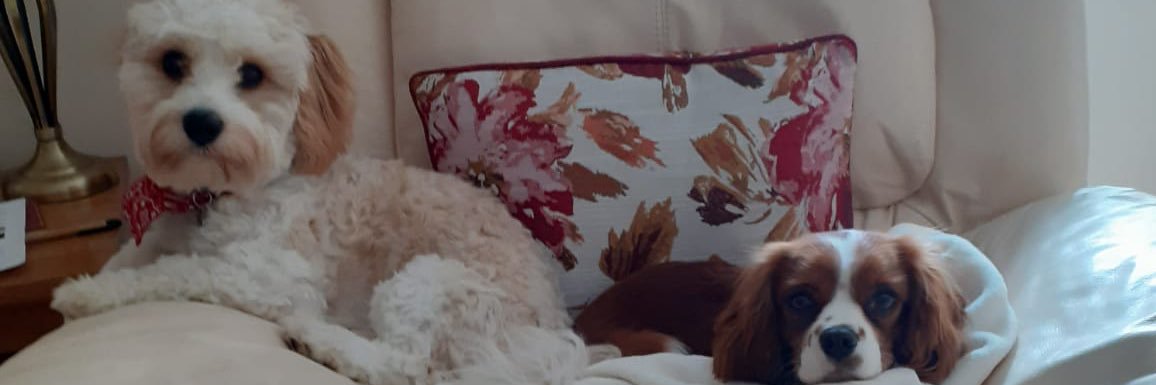 Amy82k's profile banner image