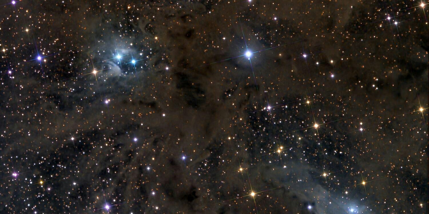 ladouglas83's profile banner image