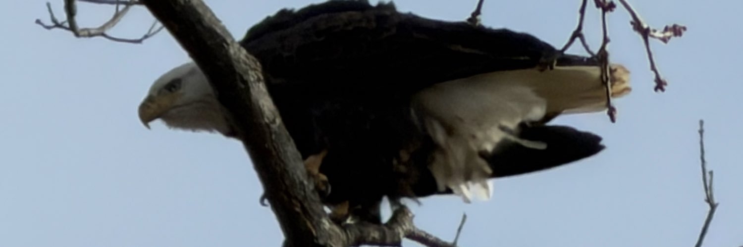 Joshuastuds's profile banner image