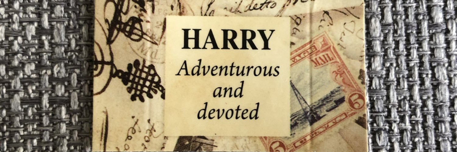 Harry 🇺🇦 banner