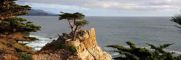 annmtrescott Profile Banner