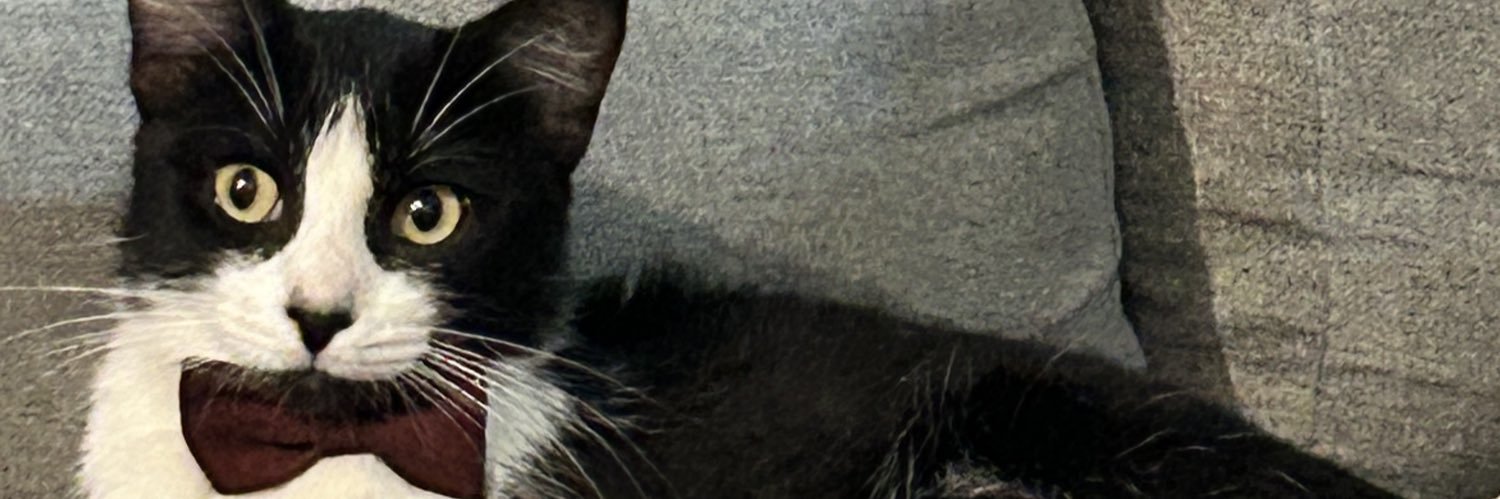 mleprda's profile banner image