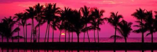 mvnny_'s profile banner image