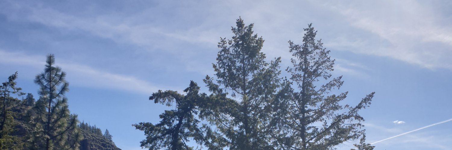 susanseesthesky's profile banner image