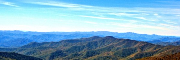 tylernc1 Profile Banner