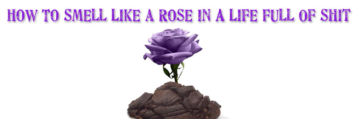 Be_TheRose's profile banner image