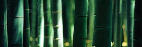 JenniferWanke's profile banner image