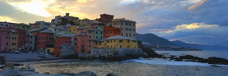 nicbasile's profile banner image