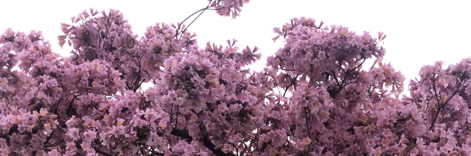 celbrianne18's profile banner image