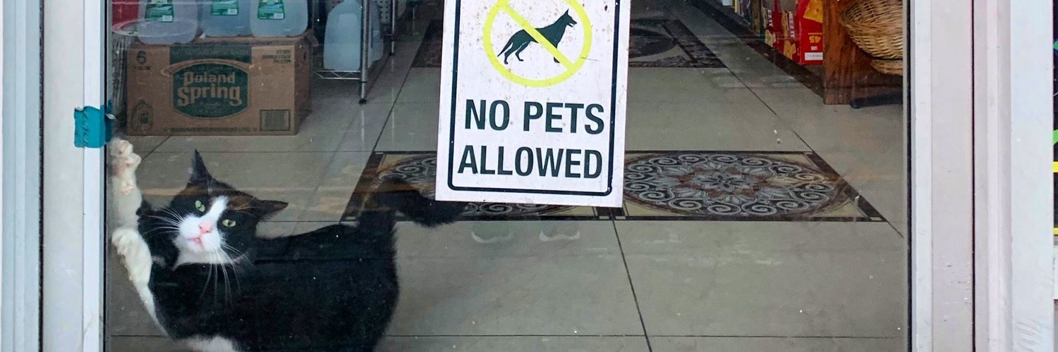 Gerben Kamphorst banner