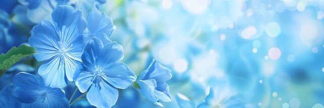 CylaChanel_'s profile banner image