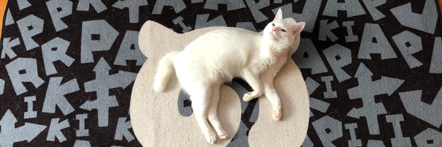 たまぴ㌠🐈 banner