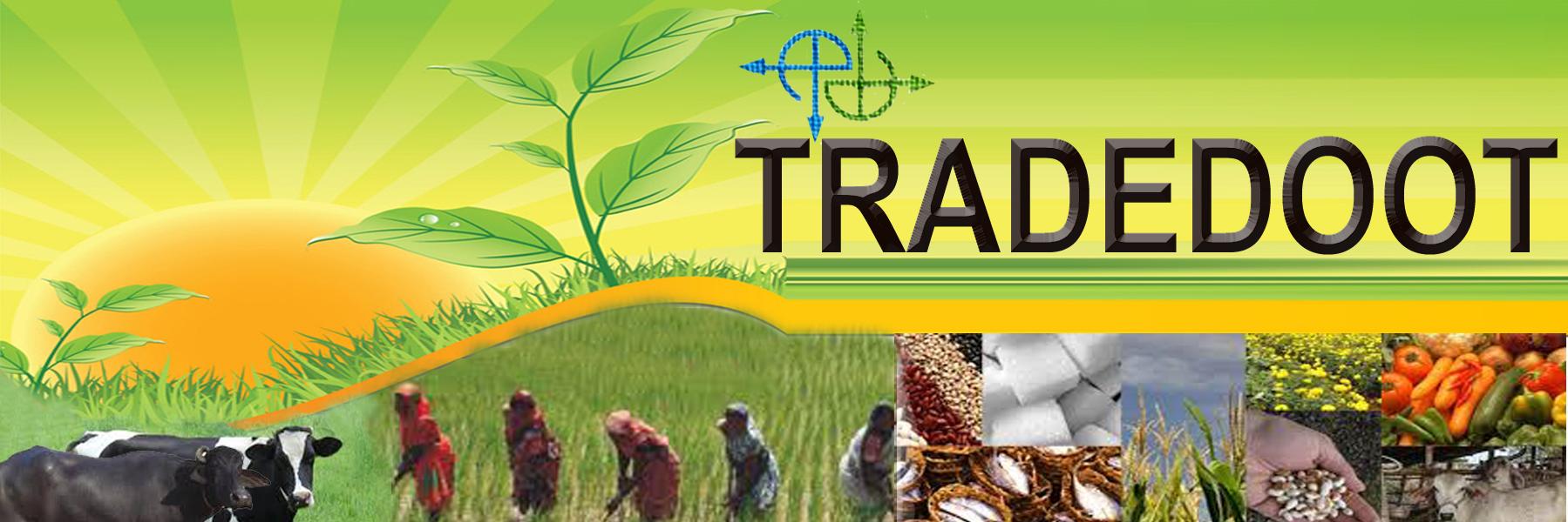 tradedoot's profile banner image