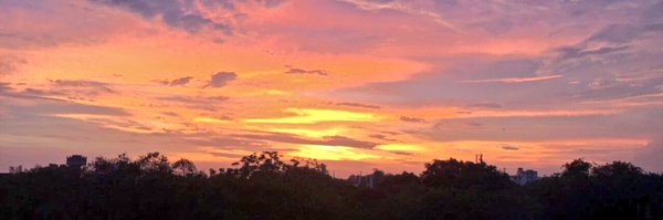 shahnimit7 Profile Banner