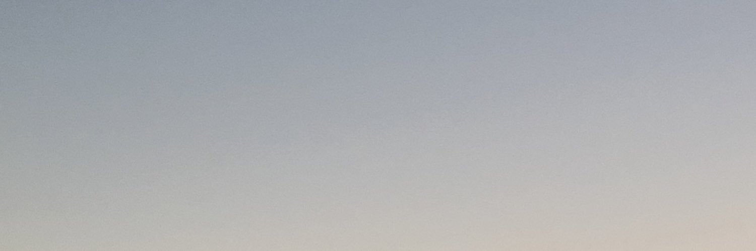 austin rhodes banner