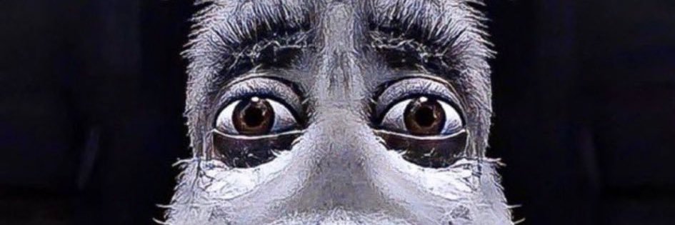 👽 banner