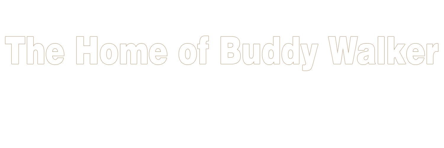 BuddyWalkerDA's profile banner image