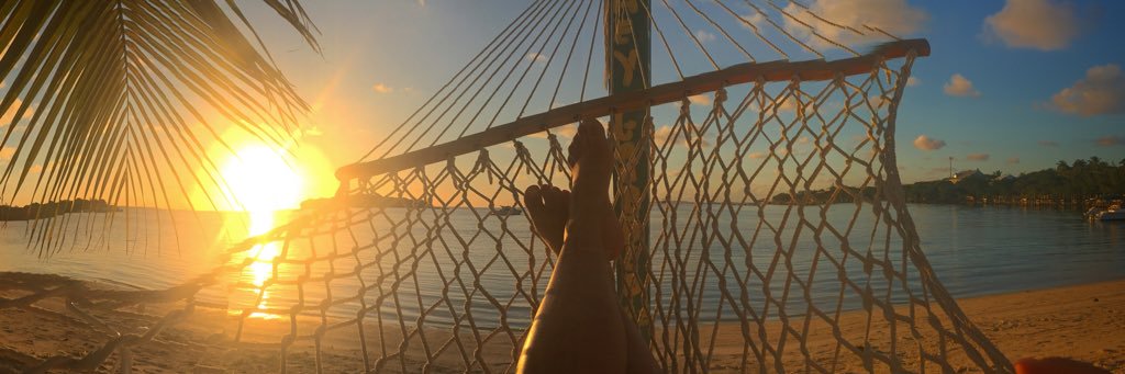 JamieDagg9's profile banner image