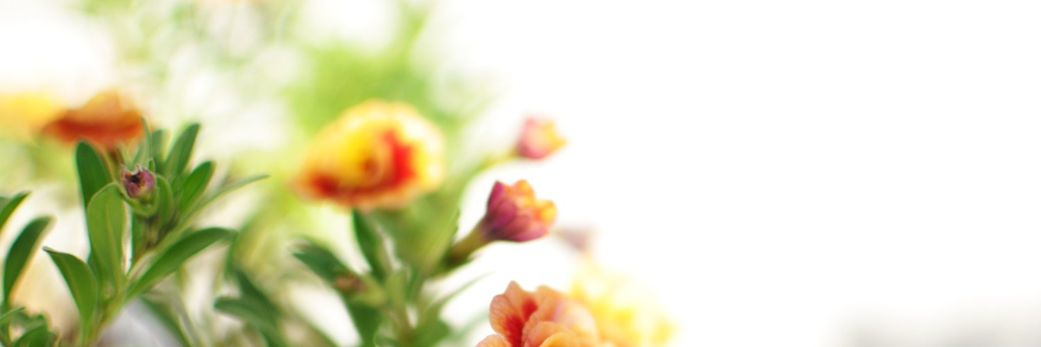 aurist33's profile banner image