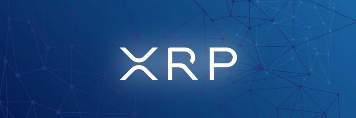 XRP_Wombat banner
