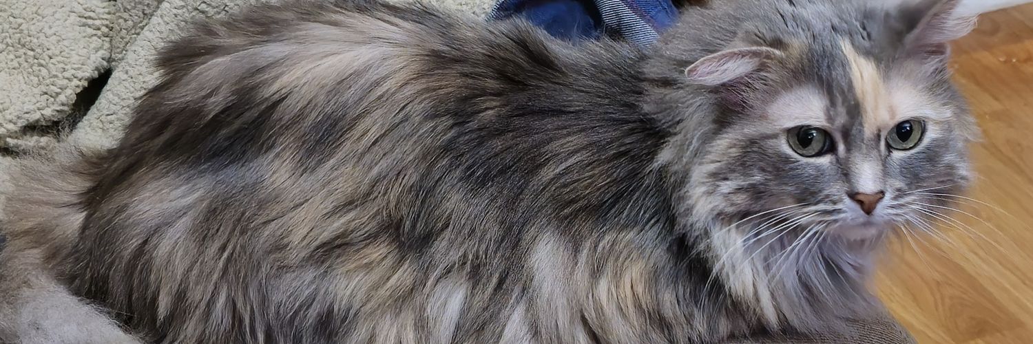 Heroxoot's profile banner image