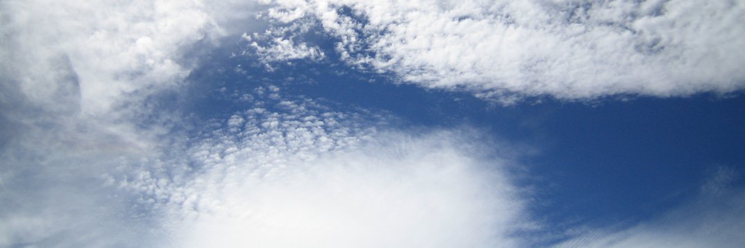 Manuel Fernández Labrada banner