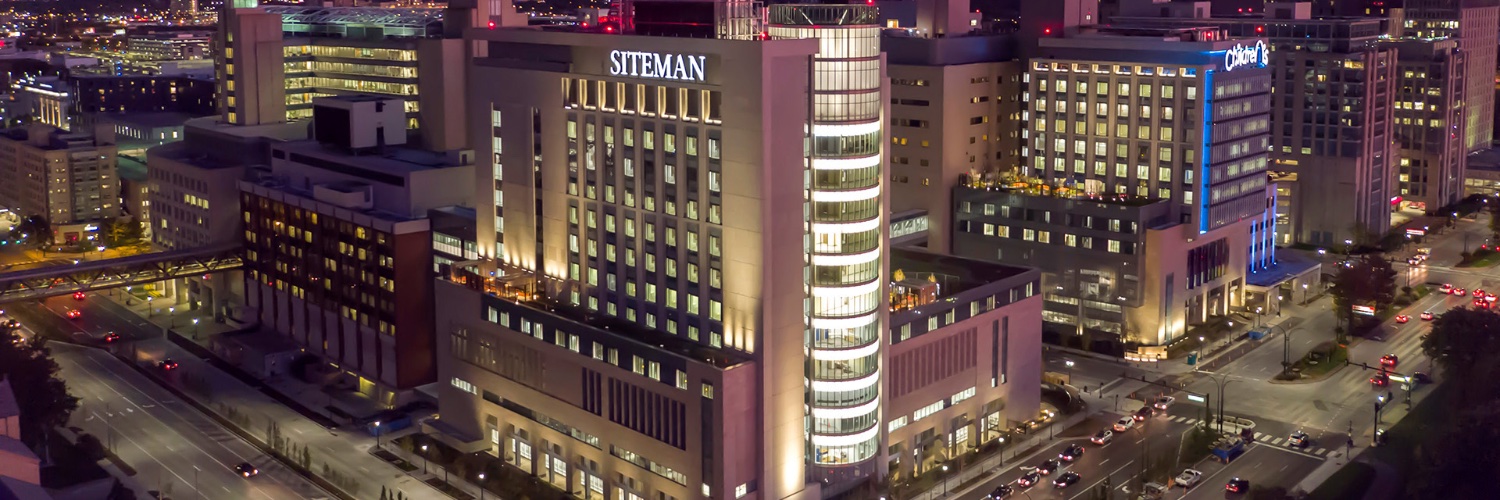 Hussein Sultan banner