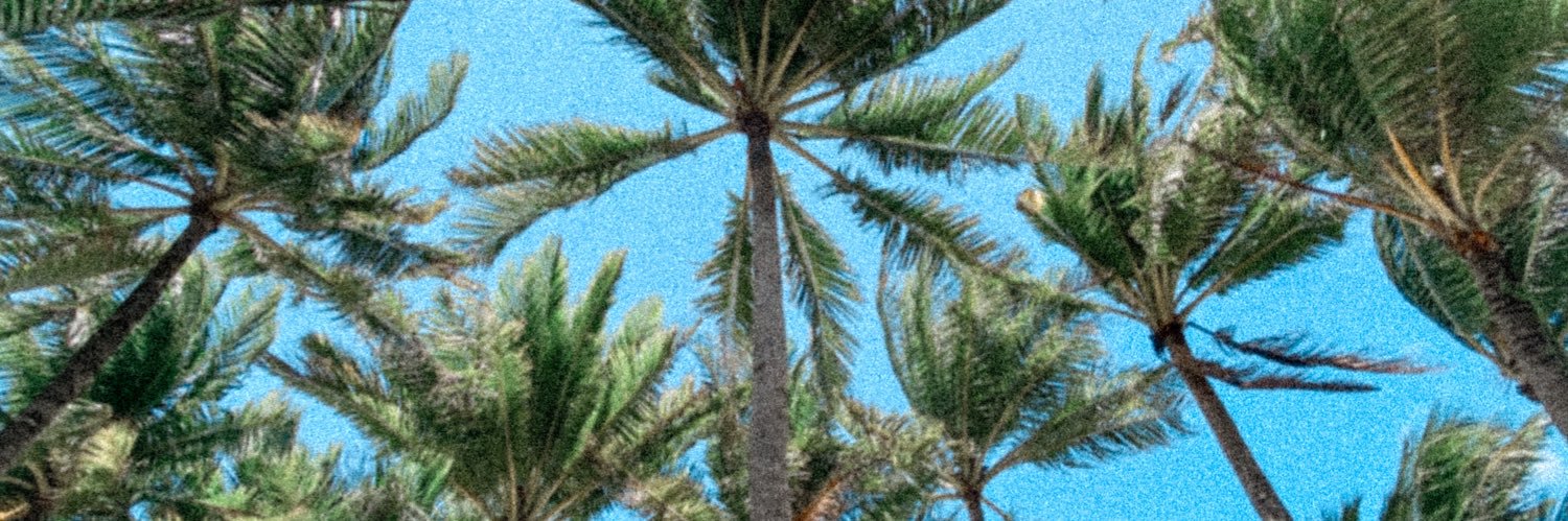 jayjaydomi's profile banner image