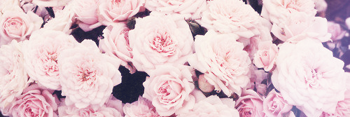 AldiiAdle's profile banner image