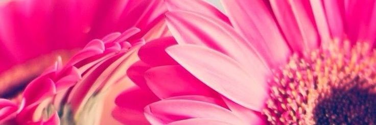 AlejandsdL's profile banner image