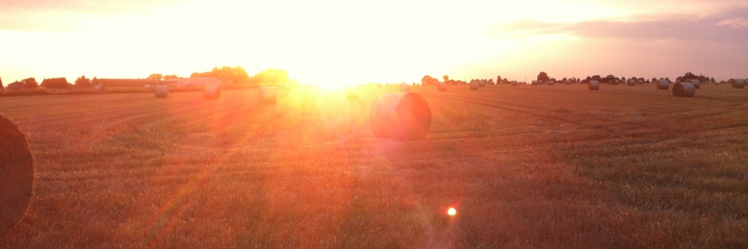 FreyaMaclachlan's profile banner image
