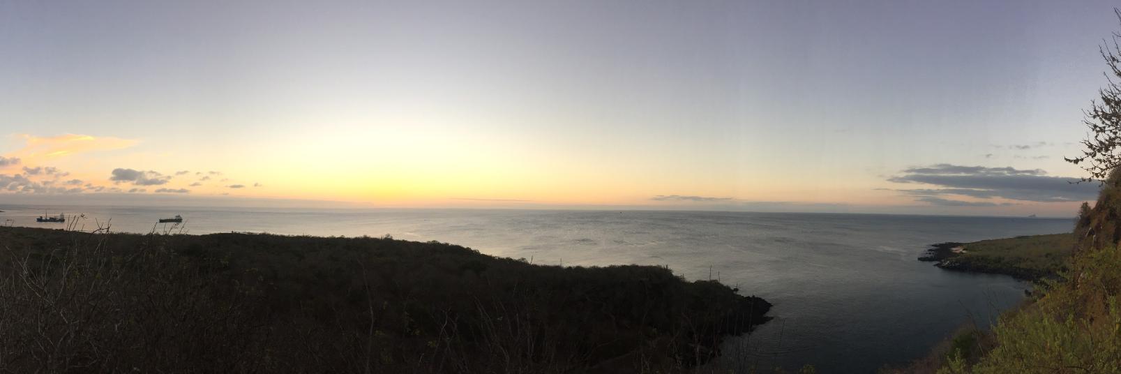 daniel cadena banner