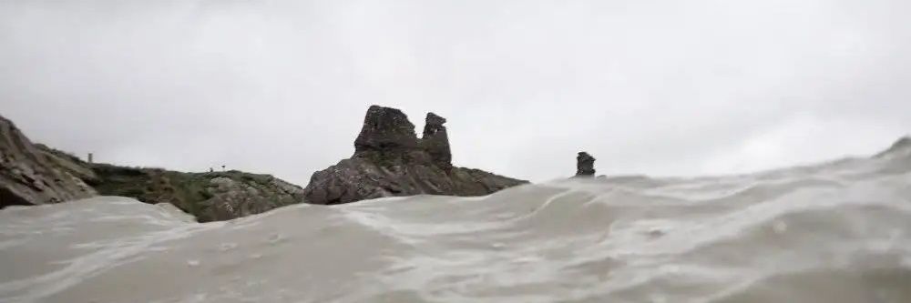 Mary Aldridge banner