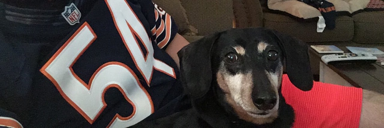 JoshWinfield1's profile banner image