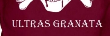 antonello quartaroli 🇵🇸 banner