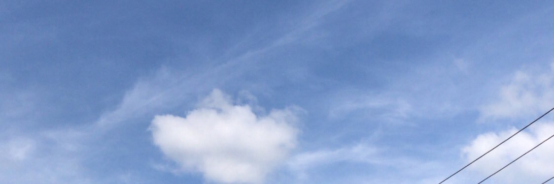 :: banner