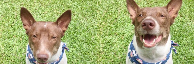MrArtist_'s profile banner image