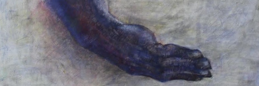 Brandaan Huigen banner