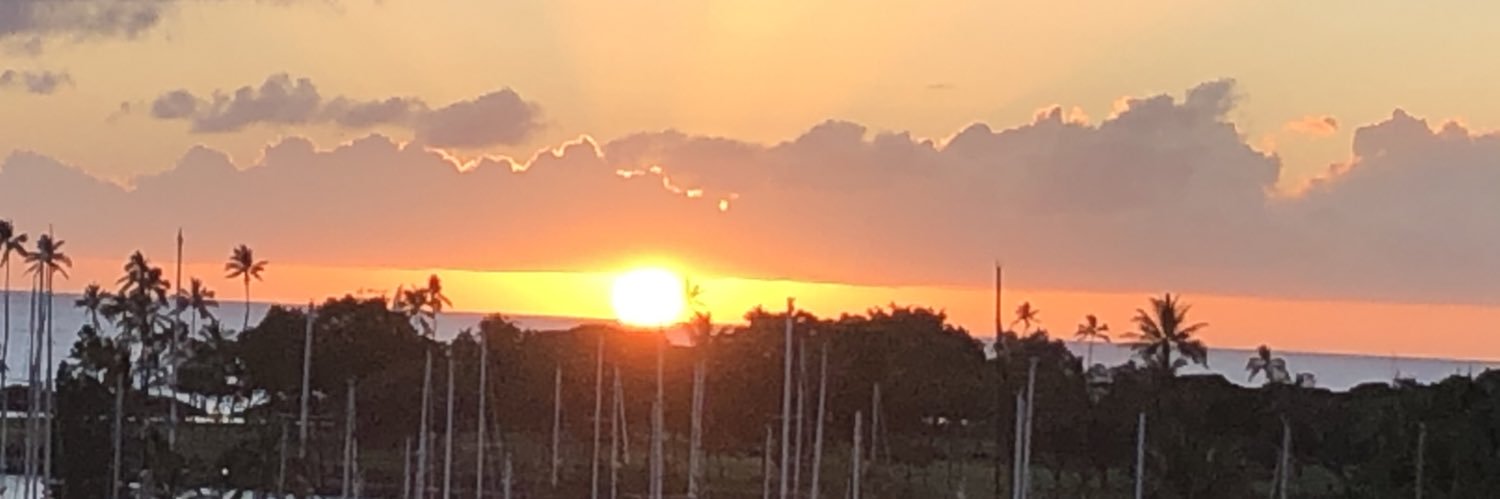 magowins74's profile banner image