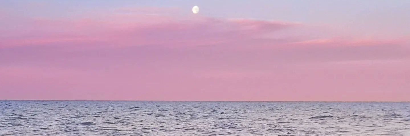 carissa_sem's profile banner image
