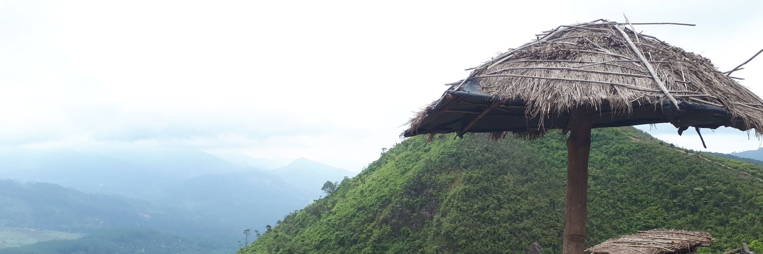 SoshalaW's profile banner image